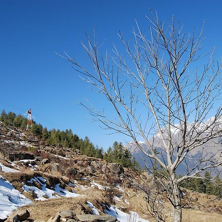 Joshīmath Auli Resort المظهر الخارجي الصورة